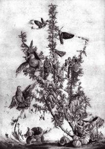 Rosemary Branches_Maite Cascon_Etching, aquatint, drypoint